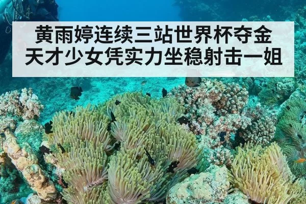 黄雨婷连续三站世界杯夺金 天才少女凭实力坐稳射击一姐
